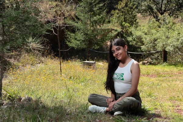 Ejemplo de tamaño dummy.